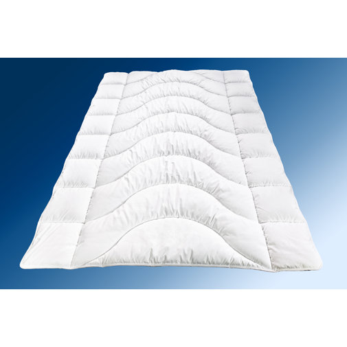 Walburga Vier-Jahreszeiten Bettdecke Basic 100% Polyester-Hohlfasern